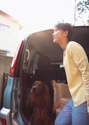 車検について事前に色々と知りたいなら