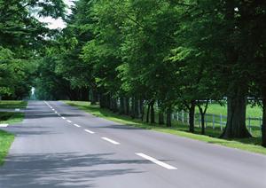 トヨタカローラ山口・徳山店の全情報と魅力を徹底解説｜最新車両とサービス内容も紹介